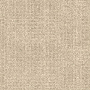 NbVtA 1mȏ10cmPʐؔ  iԁFCF9683 WF CFV[g-H ہEn x[W 1820mm S1.8mm SHEET CLLECTION CF2024-2027 RECX R h hJr Ǝdグ CF N