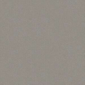 NbVtA 1mȏ10cmPʐؔ  iԁFCF9686 WF CFV[g-H ہEn O[ 1820mm S1.8mm SHEET CLLECTION CF2024-2027 RECX R h hJr Ǝdグ CF Nb