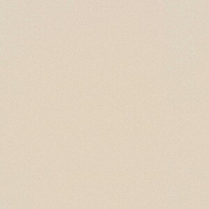 yő2000~N[|zNbVtA 1mȏ10cmPʐؔ  iԁFCF9690 CFV[g-H ہEn zCg 1820mm S1.8mm SHEET CLLECTION CF2024-2027 RECX R h hJr 