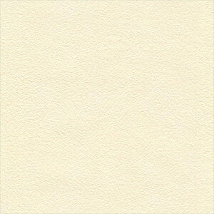 �ǎ� �N���X �̂�Ȃ� �V���R�[�� BB2341 ���n��yellow/orange tone �I�����W �V���v���E�x�[�V�b�N �����r�j�������n�ǎ� BEST2025-2027 �s�R �h���� �R�� ���L ���G�}