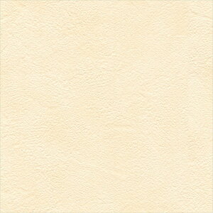 ǎ NX ̂Ȃ VR[ BB2345 nyellow/orange tone IW VvEx[VbN rjnǎ BEST2025-2027 sR h R RAQ