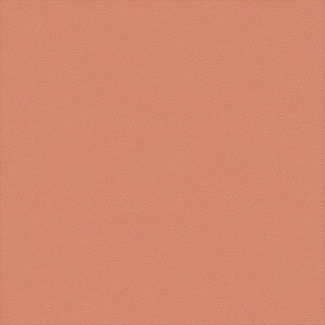 �ǎ� �N���X �̂�Ȃ� �V���R�[�� BB2348 ���n��yellow/orange tone �I�����W �V���v���E�x�[�V�b�N �����r�j�������n�ǎ� BEST2025-2027 �s�R �h���� ����h�~ �R�� �\�ʋ���