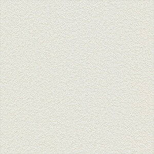 ǎ NX ̂Ȃ VR[ BB2388 n V zCg VvEx[VbN rjnǎ BEST2025-2027 sR h 