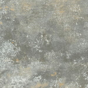 yő500~OFFP2{zǎ NX ̂Ȃ VR[ BB2597 a O[ a rjnǎ BEST2025-2027 sR h