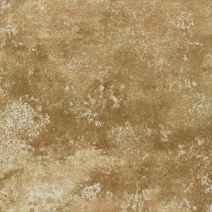 yő500~OFFP2{zǎ NX ̂Ȃ VR[ BB2598 a uE a rjnǎ BEST2025-2027 sR h