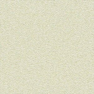 yő500~OFFP2{zǎ NX ̂Ȃ VR[ BB2644 a O[ a rjnǎ BEST2025-2027 sR h R L G}