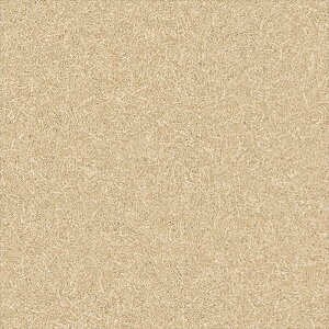 yő500~OFFP2{zǎ NX ̂Ȃ VR[ BB2657 a x[W a rjnǎ BEST2025-2027 sR h R L G}