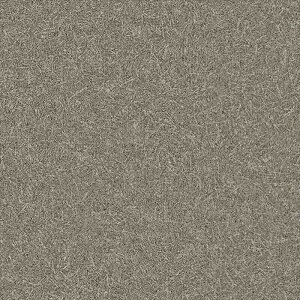 yő500~OFFP2{zǎ NX ̂Ȃ VR[ BB2658 a uE a rjnǎ BEST2025-2027 sR h R L G}