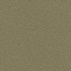 yő500~OFFP2{zǎ NX ̂Ȃ VR[ BA7149 BIGACE2024-2026  J[LO[ VvEx[VbNEa rjnǎ sR h z