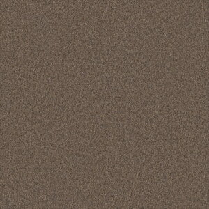 yő500~OFFP2{zǎ NX ̂Ȃ VR[ BA7151 BIGACE2024-2026  uE VvEx[VbNEa rjnǎ sR h z