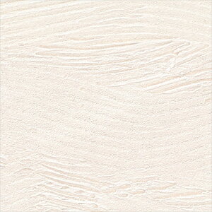 yő500~OFFP2{zǎ NX ̂Ȃ VR[ BA7344 BIGACE2024-2026 a zCg a rjnǎ sR h