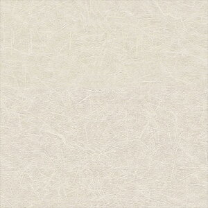 yő500~OFFP2{zǎ NX ̂Ȃ VR[ BA7348 BIGACE2024-2026 a zCg a rjnǎ sR h