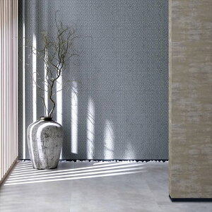 yő500~OFFP2{zǎ NX ̂Ȃ  WVP8135 DECOPOWER2024-2027 JAPAN O[ a rjnǎ sR sR h