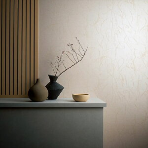 yő500~OFFP2{zǎ NX ̂Ȃ  WVP8139 DECOPOWER2024-2027 JAPAN x[W a rjnǎ sR sR h 