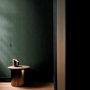 ǎ NX ̂Ȃ  WVP8141 DECOPOWER2024-2027 JAPAN O[ a rjnǎ sR sR h 