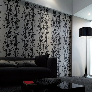 ǎ NX ̂Ȃ  WVP8145 DECOPOWER2024-2027 JAPAN x[W a rjnǎ sR sR h