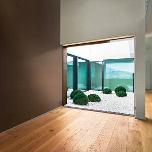 yő500~OFFP2{zǎ NX ̂Ȃ  WVP8153 DECOPOWER2024-2027 JAPAN uE a rjnǎ sR sR h R