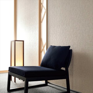 ǎ NX ̂Ȃ  WVP8161 DECOPOWER2024-2027 JAPAN x[W a rjnǎ sR sR h R L G}