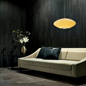 yő500~OFFP2{zǎ NX ̂Ȃ  WVP8167 DECOPOWER2024-2027 JAPAN ubN a rjnǎ sR sR h