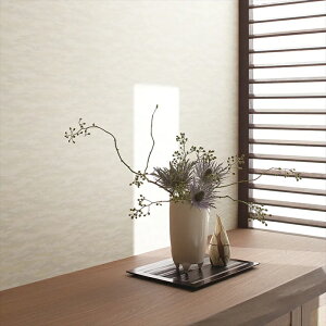 yő500~OFFP2{zǎ NX ̂Ȃ  WVP8168 DECOPOWER2024-2027 JAPAN zCg a rjnǎ sR sR h