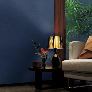 yő500~OFFP2{zǎ NX ̂Ȃ  WVP8368 DECOPOWER2024-2027 tBRۉh~EX[p[n[h^Cv lCr[ a rjnǎ sR sR h h~ R 