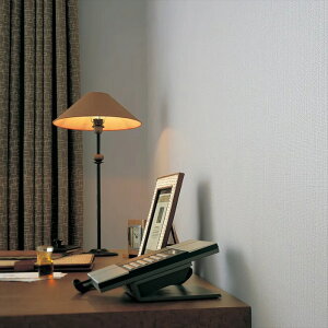 ǎ NX ̂Ȃ  WVP8527 DECOPOWER2024-2027 RECXǎ O[ VvEx[VbN rjnǎ sR sR h R RECX