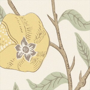 ǎ NX ̂Ȃ TQc FE76001 FINE t@C 2023-2026 MORRIS CHRONICLES EBAX MORRIS&Co. n t[[t sR h~ R \ʋ