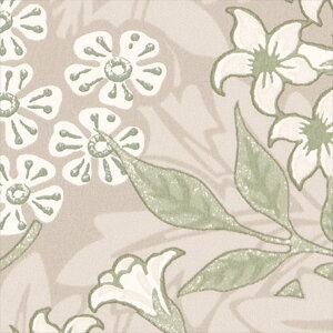 ǎ NX ̂Ȃ TQc FE76013 FINE t@C 2023-2026 MORRIS CHRONICLES EBAX MORRIS&Co. n t[[t sR h~ \ʋ