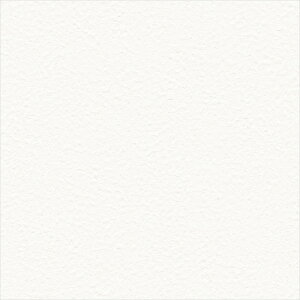 ǎ NX ̂Ȃ TQc FE76029 FINE t@C 2023-2026 MORRIS CHRONICLES EBAX MORRIS&Co. n ΖڒAh蒲 sR h~ \ʋ