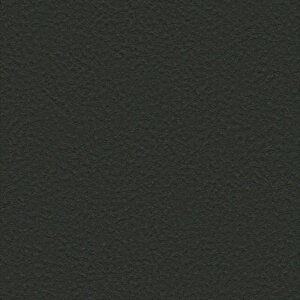 ǎ NX ̂Ȃ TQc FE76044 FINE t@C 2023-2026 MORRIS CHRONICLES EBAX MORRIS&Co. n ΖڒAh蒲 sR h~ \ʋ