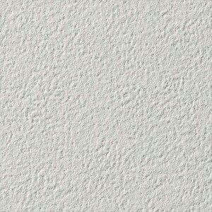 yX[p[SALEN[|zzzǎ NX ̂Ȃ TQc FE76091 FINE t@C 2023-2026 J[ZNV n n sR sR h~ \ʋ