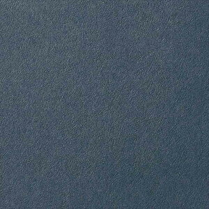 ǎ NX ̂Ȃ TQc FE76141 FINE t@C 2023-2026 J[ZNV n n sR h~