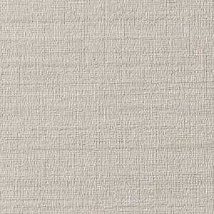 y1P2{zǎ NX ̂Ȃ TQc FE76274 FINE t@C 2023-2026 n[hXgb`ǎ n D sR sR h~ R \ʋ 