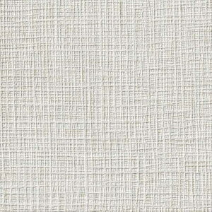 yBF聚ő5000~OFFP2{zǎ NX ̂Ȃ TQc FE76322 FINE t@C 2023-2026 RECXǎ n D sR h~ R