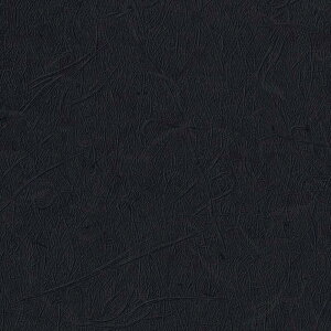 ǎ NX ̂Ȃ TQc FE76519 FINE t@C 2023-2026 a n a sR R