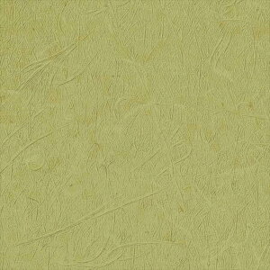 壁紙 クロス のりなし サンゲツ FE76521 FINE ファイン 2023-2026 和 緑系 和風 準不燃 抗菌