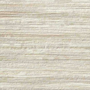 ǎ NX ̂Ȃ TQc FE76528 FINE t@C 2023-2026 a n a sR sR