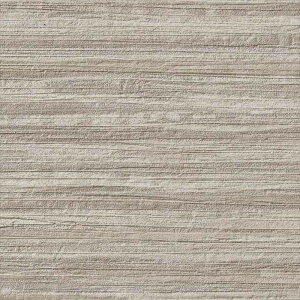 壁紙 クロス のりなし サンゲツ FE76529 FINE ファイン 2023-2026 和 黒系 和風 不燃 準不燃