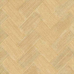 ǎ NX ̂Ȃ TQc FE76542 FINE t@C 2023-2026 a n a sR