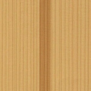 yBF聚ő5000~OFFP2{zǎ NX ̂Ȃ TQc FE76545 FINE t@C 2023-2026 a n ؖ sR R