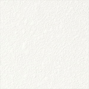 yBF聚ő5000~OFFP2{zǎ NX ̂Ȃ TQc FE76559 FINE t@C 2023-2026 ]y n ΖڒAh蒲 sR L