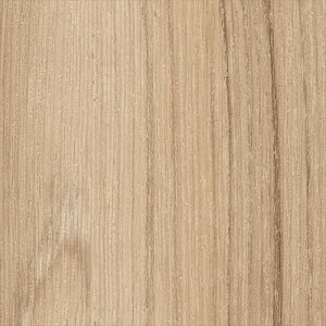 ǎ NX ̂Ȃ TQc FE76571 FINE t@C 2023-2026 ؖ n ؖ sR sR