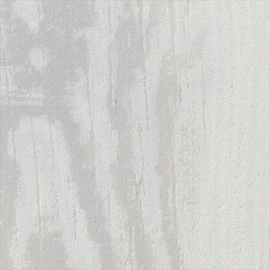 yBF聚ő5000~OFFP2{zǎ NX ̂Ȃ TQc FE76605 FINE t@C 2023-2026 sRF@ؖ n ؖ sR sR