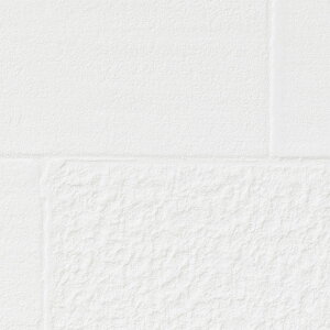 ǎ NX ̂Ȃ TQc FE76641 FINE t@C 2023-2026 ^CEK n ΖڒAh蒲 sR sR h~