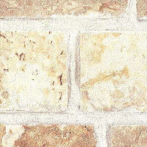 ǎ NX ̂Ȃ TQc FE76646 FINE t@C 2023-2026 ^CEK n ΖڒAh蒲 sR sR