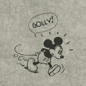 yBF聚ő5000~OFFP2{zǎ NX ̂Ȃ TQc FE76680 FINE t@C 2023-2026 DISNEY n tF~j sR sR