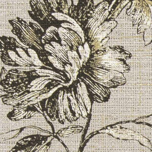 yBF聚ő5000~OFFP2{zǎ NX ̂Ȃ TQc FE76794 FINE t@C 2023-2026 ELEGANT&CLASSIC n t[[t sR