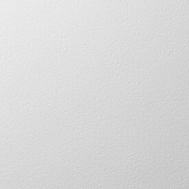 【5/22 20時～P5倍＆最大2000円OFFクーポン】国産 壁紙 クロス のりなし ルノン RH-9053 HOME(ホーム)2023-2026 塗り壁 グレー シンプル・ベーシック・石目調 塩化ビニル樹脂系壁紙 準不燃 防かび