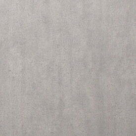 国産 壁紙 クロス のりなし ルノン RH-9250 HOME(ホーム)2023-2026 コンクリート・レザー・メタル ベージュ インダストリアル・コンクリート 塩化ビニル樹脂系壁紙 不燃 防かび