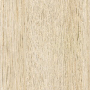 ǎ NX ̂Ȃ J LL-6101 Ebh x[W ؖڒ rjnǎ LIGHT2025-2028 sR sR h